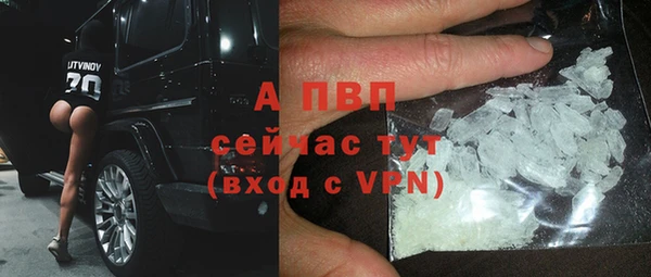 стаф Богданович