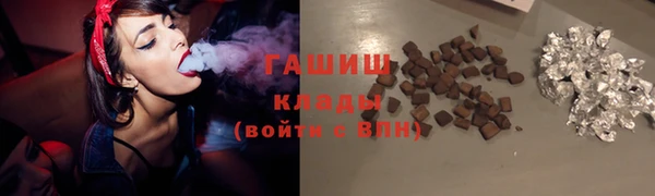 стаф Богданович