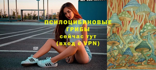 стаф Богданович