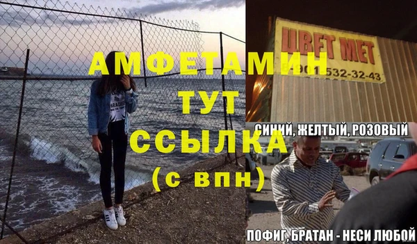 стаф Богданович