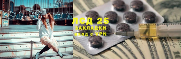 стаф Богданович