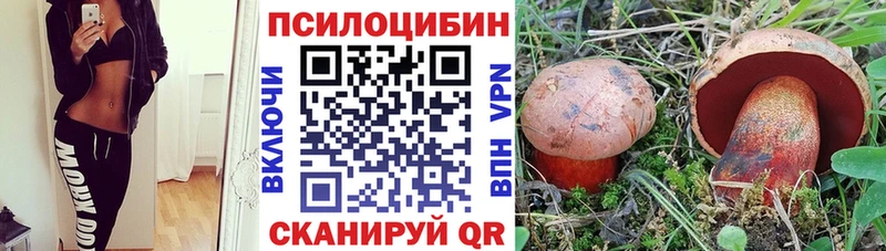 Галлюциногенные грибы Psilocybine cubensis  Яранск 